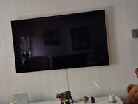 LG 65" OLED TV