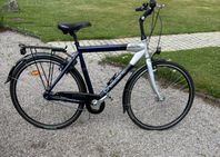 Fin Crescent Street 55cm 28´´