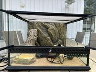 Exoterra terrarium