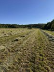 Hö i småbal
