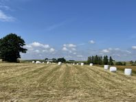Ensilage 