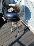 Weber grill med grill tändare
