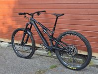 Specialized Stumpjumper EVO Carbon - nästan ny + massa extr