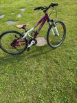 24 Tums Cykel. 