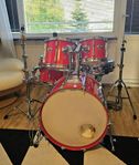 Pearl MLX All Maple