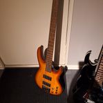 Esp Bas 254