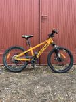 Yosemite Dirt 20”