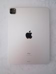 iPad Pro 11" (2:a gen, A2228) WI-FI – 256 GB + Apple Penci