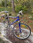 Nishiki 501 hybrid