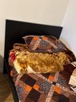 bed with mattress 