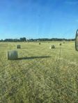 Hö och hösilage