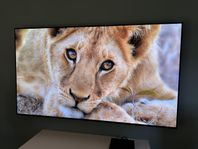 LG OLED 77″ C8 - 4K OLED, väggfäste & stativ
