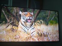 Mi tv 55inch