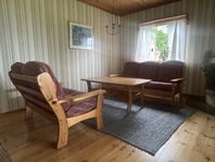 Furugrupp