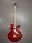 Epiphone Allen Woody Rumblecat