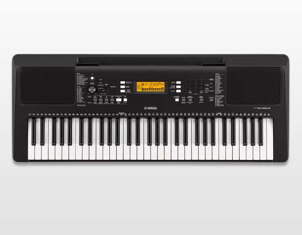 PSR-E363