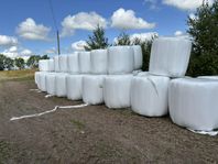 Hösilage förstaskörd