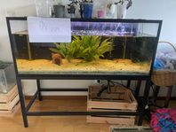 svart ramakvarium 222 L