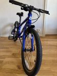 Barncykel frog 52. 20”