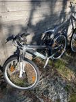 Scott Voltage jr24