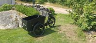 cargobike Flex med kapell