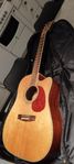 Halvakustisk gitarr & gigbag