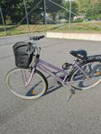 Monark Nordic 28'