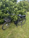 Skeppshult Elcykel