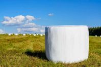 Hösilage