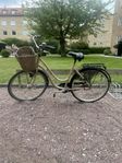 Monark Karin