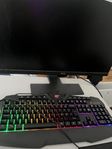 Gamingdator