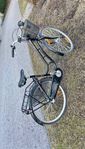 Vilma Damcykel 28”