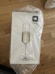 6-pack champagneglas Leonardo Puccini