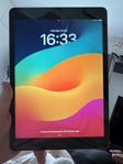 iPad 10,2” 9th gen 256gb wifi 