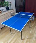 Pingisbord / Bordtennisbord