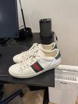 Gucci ace skor