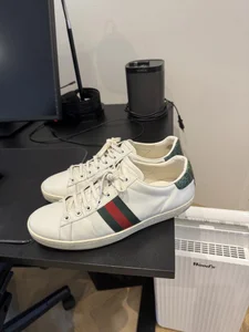 Gucci ace skor
