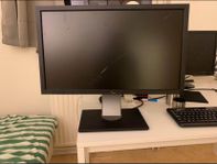 dator skärm 24”