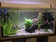 Akvarium 105 liter