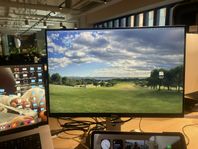 2st Dell Ultrasharp U2415