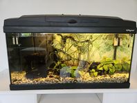 Akvarium Haquoss Evolution, 90 liter