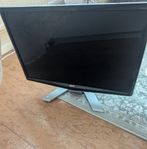 äldre acer