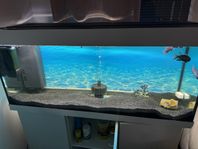 Akvarium juwel 350 liter