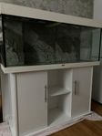 Juwel Rio 240