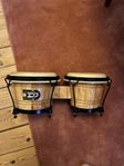 Bongos - DD