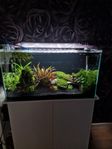 105l helglasakvarium 
