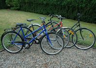DAMCYKLAR  SINGLE SPEED  