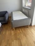 IKEA Bed without mattress for urgent Sale 