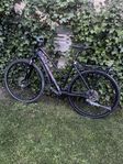 crescent torne