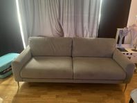 ljusgrå sammets soffa 